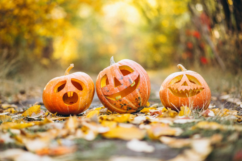 Rugby club getting ready to host Halloween party